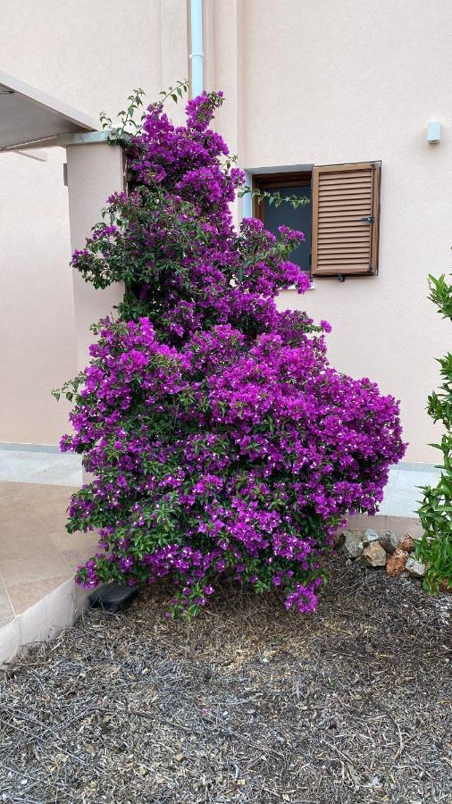 Villa Lp Kokkino Chorio Exteriör bild