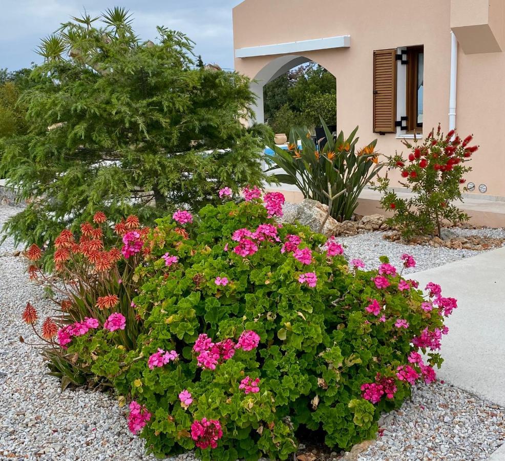 Villa Lp Kokkino Chorio Exteriör bild
